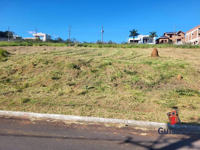 #870 - Área para Venda em Taubaté - SP - 1