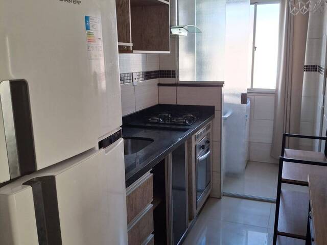 #919 - Apartamento para Locação em Taubaté - SP - 2
