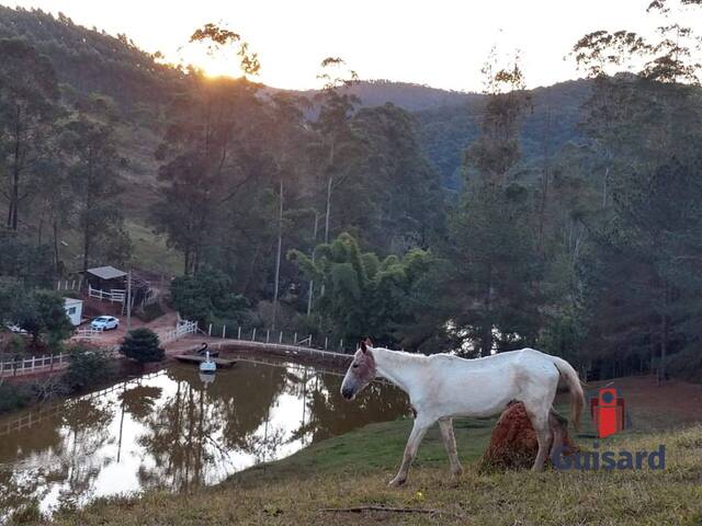 #1055 - Chácara para Venda em Taubaté - SP - 3