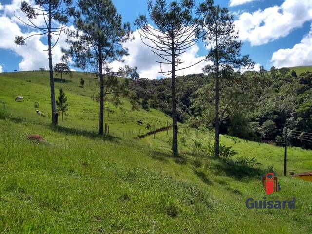 #1061 - Chácara para Venda em Lagoinha - SP - 1