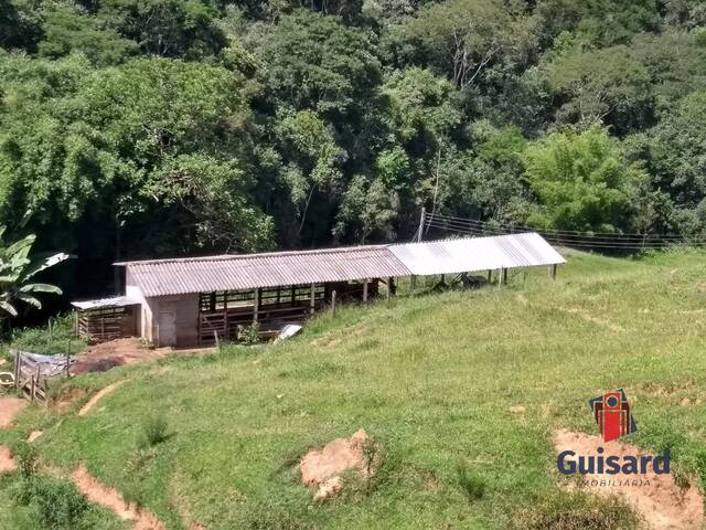 #1061 - Chácara para Venda em Lagoinha - SP - 2