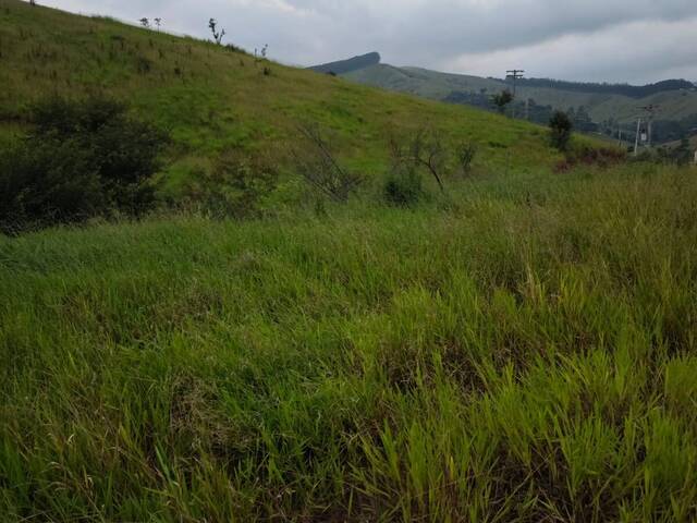#1076 - Chácara para Venda em Natividade da Serra - SP - 2