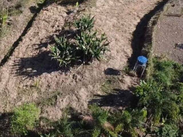 #1078 - Chácara para Venda em Natividade da Serra - SP - 3