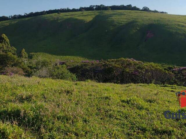 #1096 - Chácara para Venda em Taubaté - SP - 2