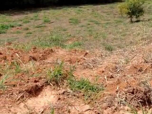 #1092 - Chácara para Venda em São Luíz do Paraitinga - SP - 3