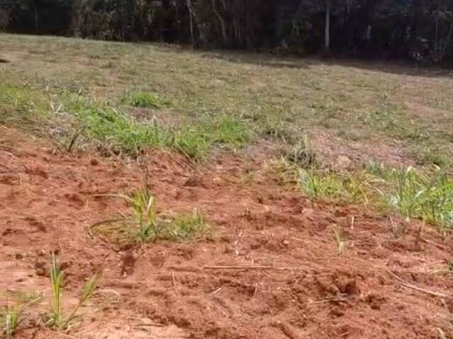 #1092 - Chácara para Venda em São Luíz do Paraitinga - SP - 2