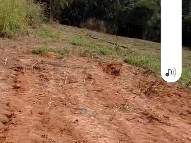 Chácara para Venda em São Luíz do Paraitinga - 5