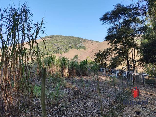 Chácara para Venda em São Luíz do Paraitinga - 4