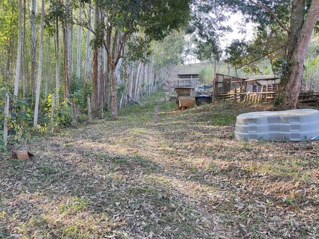 #1101 - Chácara para Venda em São Luíz do Paraitinga - SP - 3