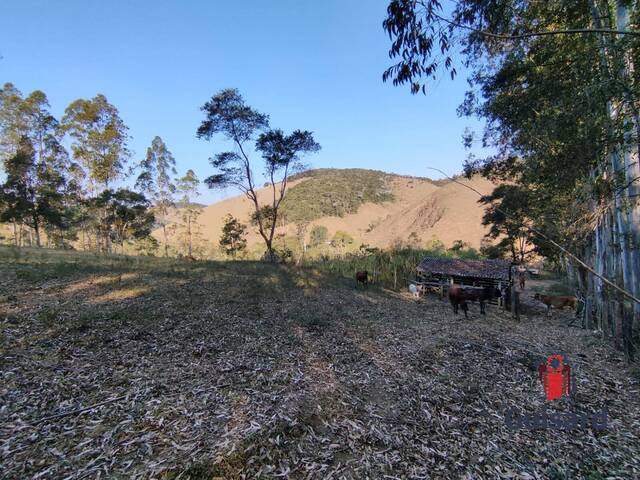 Chácara para Venda em São Luíz do Paraitinga - 5