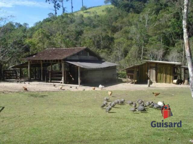 #1102 - Sítio para Venda em Natividade da Serra - SP - 3