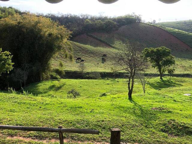 Sítio para Venda em Lorena - 5