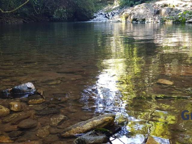 #1167 - Sítio para Venda em Silveiras - SP - 1