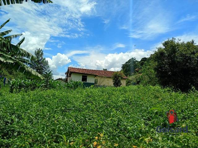 #1207 - Chácara para Venda em São Luíz do Paraitinga - SP - 2