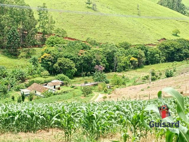 #1207 - Chácara para Venda em São Luíz do Paraitinga - SP - 1