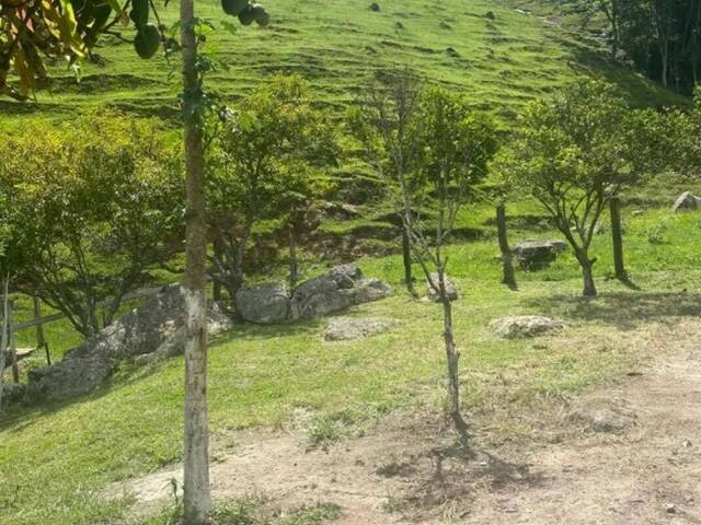 Sítio para Venda em Natividade da Serra - 4