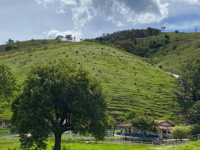 #1244 - Sítio para Venda em Natividade da Serra - SP - 2