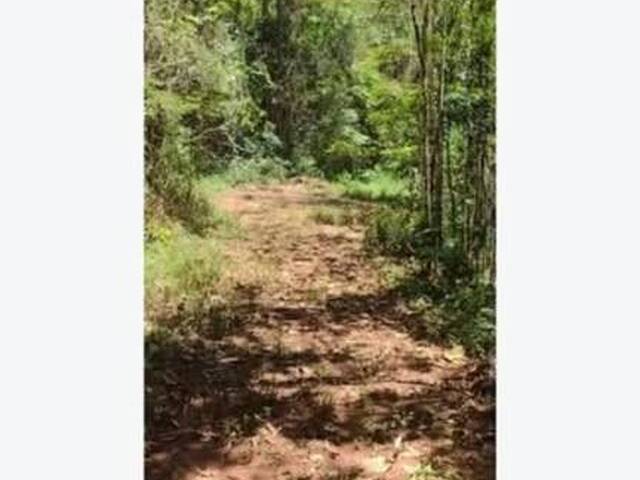 Sítio para Venda em Taubaté - 3