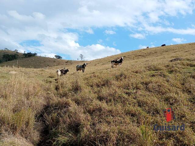 Venda em Área Rural de Lagoinha - Lagoinha