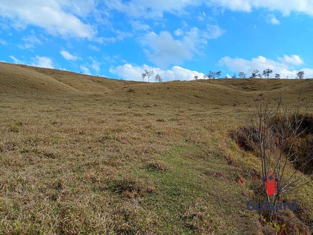 Sítio para Venda em Lagoinha - 3