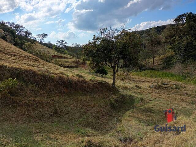 Sítio para Venda em Lagoinha - 4