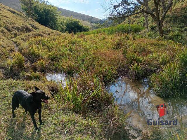 Sítio para Venda em Lagoinha - 2