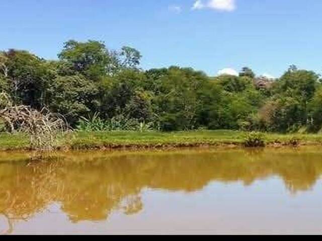 Sítio para Venda em Lagoinha - 3