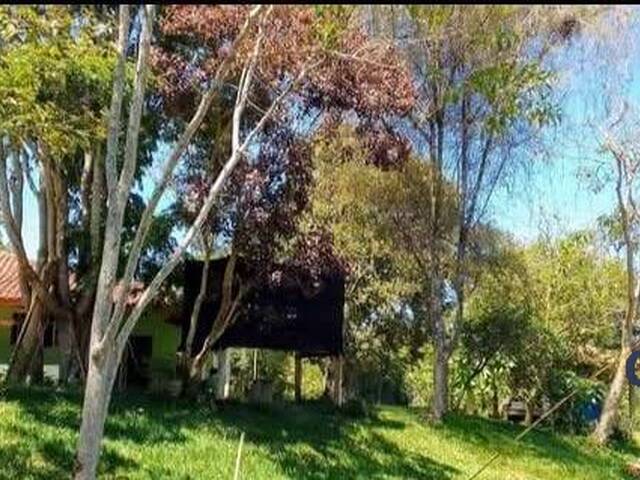 Sítio para Venda em Lagoinha - 2