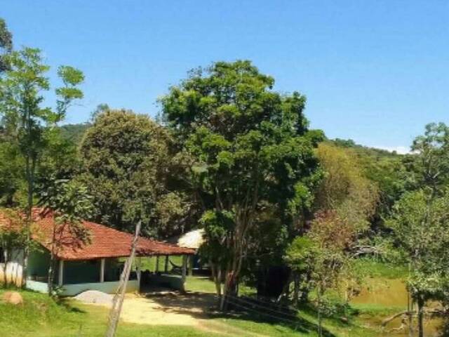 Sítio para Venda em Lagoinha - 5