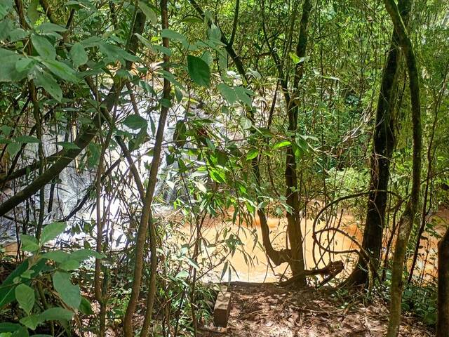 #1266 - Sítio para Venda em Taubaté - SP - 3