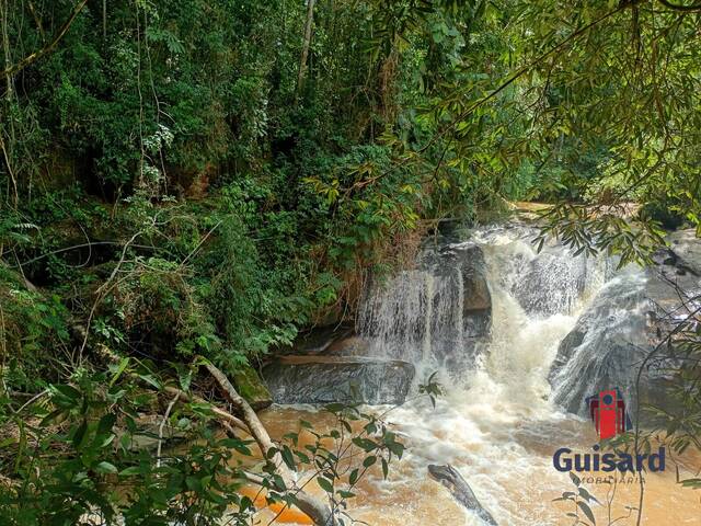#1266 - Sítio para Venda em Taubaté - SP - 1