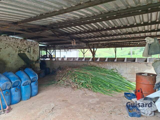 Fazenda para Venda em Guaratinguetá - 4