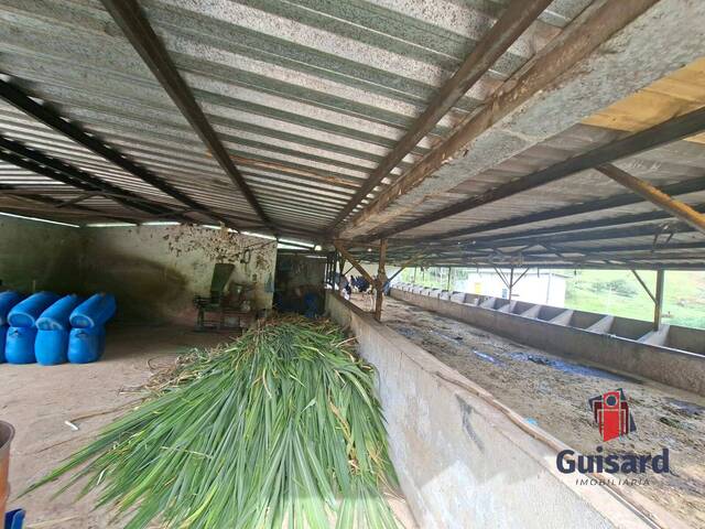 Fazenda para Venda em Guaratinguetá - 5