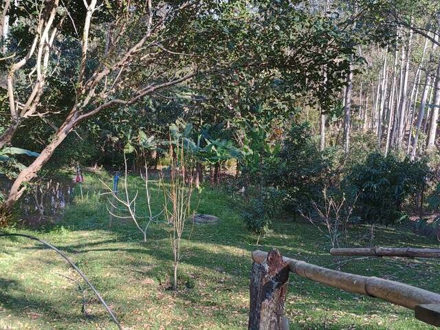 Chácara para Venda em Paraibuna - 5