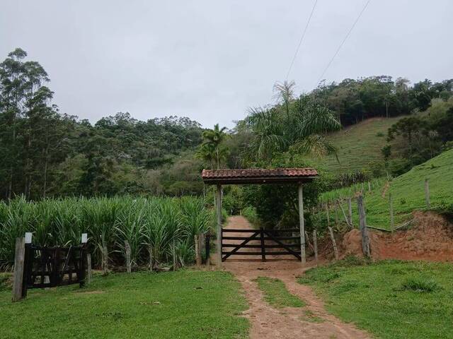 #1406 - Sítio para Venda em Natividade da Serra - SP - 3