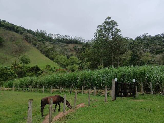 Sítio para Venda em Natividade da Serra - 5