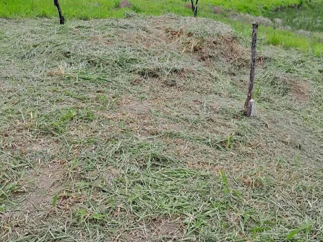 Venda em Loteamento Chácaras Ingrid - Taubaté