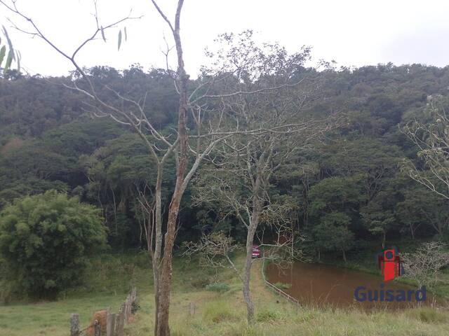 Sítio para Venda em Redenção da Serra - 3