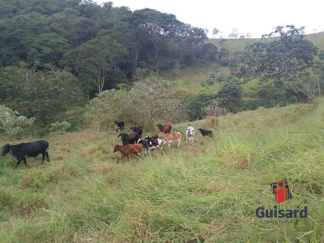 Sítio para Venda em Redenção da Serra - 2