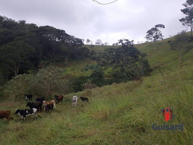 Sítio para Venda em Redenção da Serra - 4