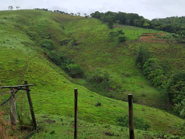Sítio para Venda em Redenção da Serra - 4