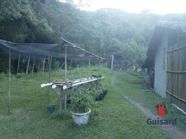 Sítio para Venda em Natividade da Serra - 4