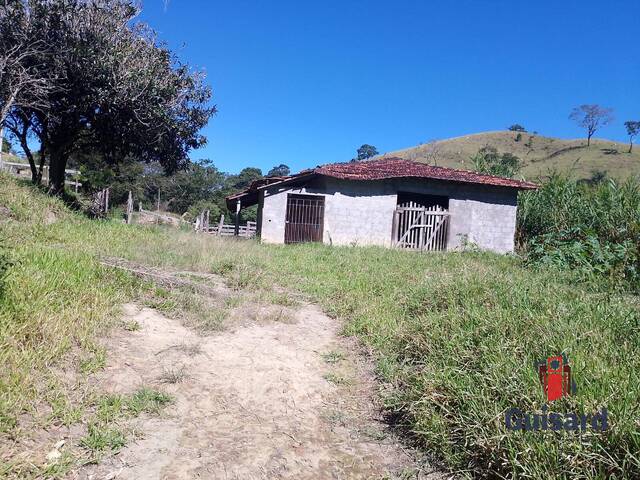 #1495 - Sítio para Venda em Natividade da Serra - SP - 3