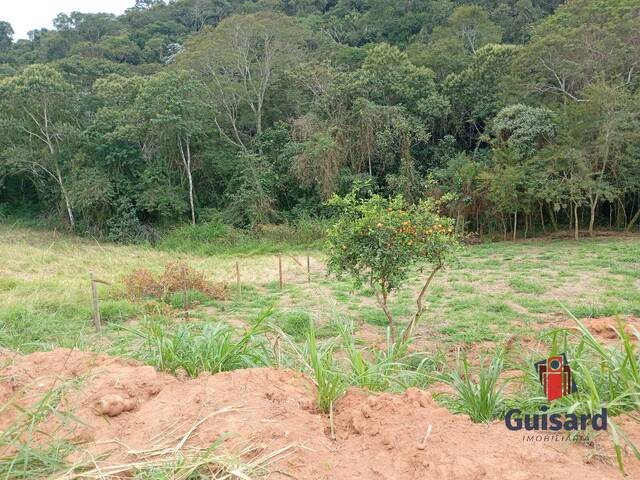 #1092 - Chácara para Venda em São Luíz do Paraitinga - SP - 3