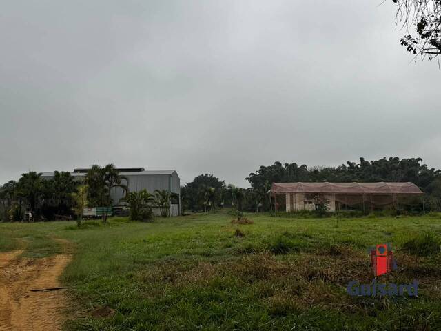 Fazenda para Venda em Caçapava - 5