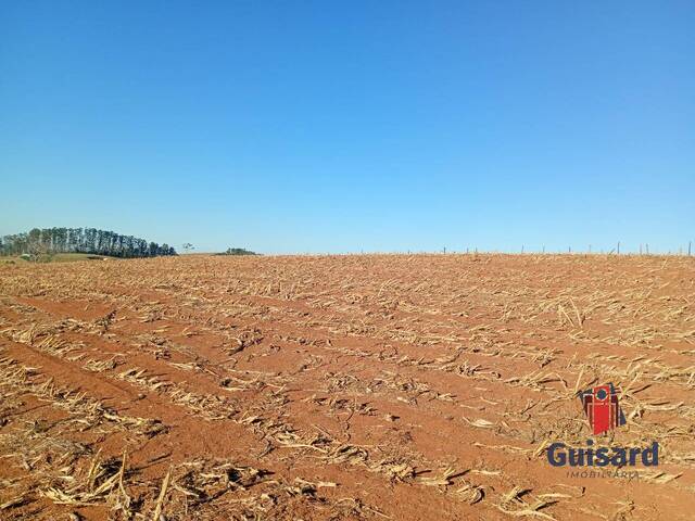 Chácara para Venda em São Luíz do Paraitinga - 2