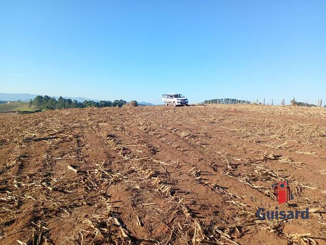 Chácara para Venda em São Luíz do Paraitinga - 4