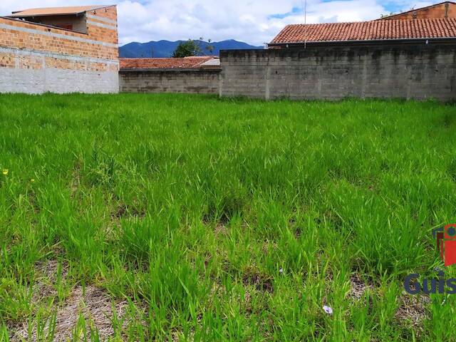 #1563 - Área para Venda em Tremembé - SP - 1